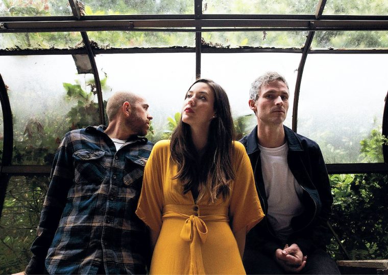 Said the Whale bandmates