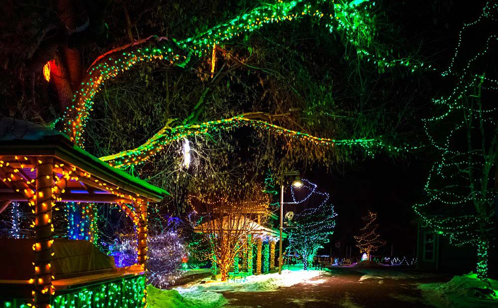ZOOLIGHTS-Event