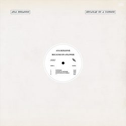 album-_Ana-Roxanne