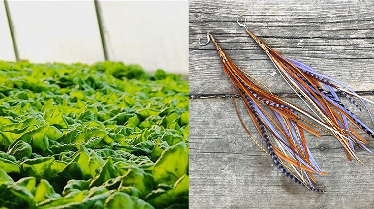 Images of plants and art from Kensington Market