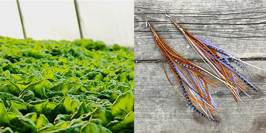 Images of plants and art from Kensington Market