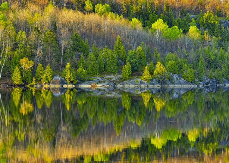 Photograph of lake and forest