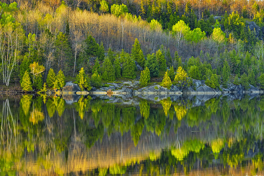 Photograph of lake and forest