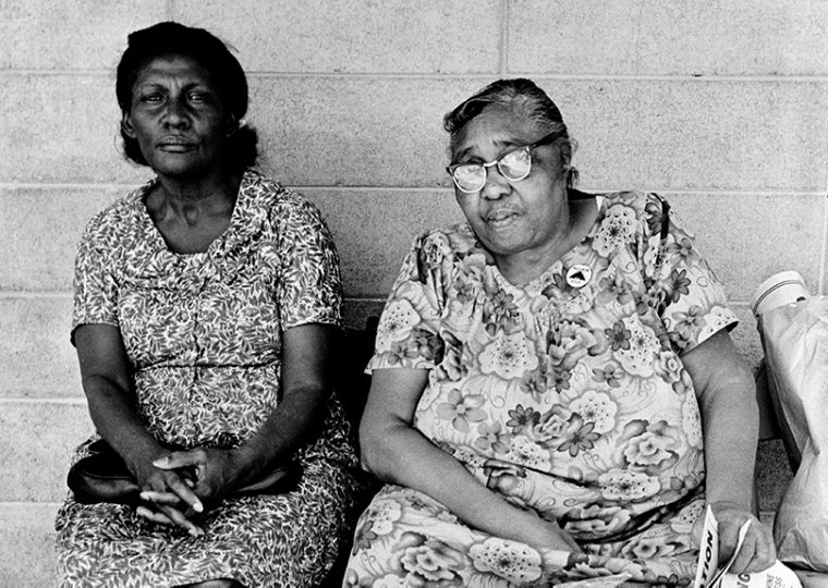 The Black Panthers: Vanguard of the Revolution