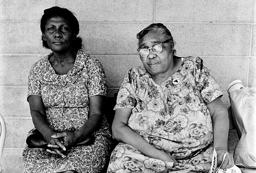 The Black Panthers: Vanguard of the Revolution