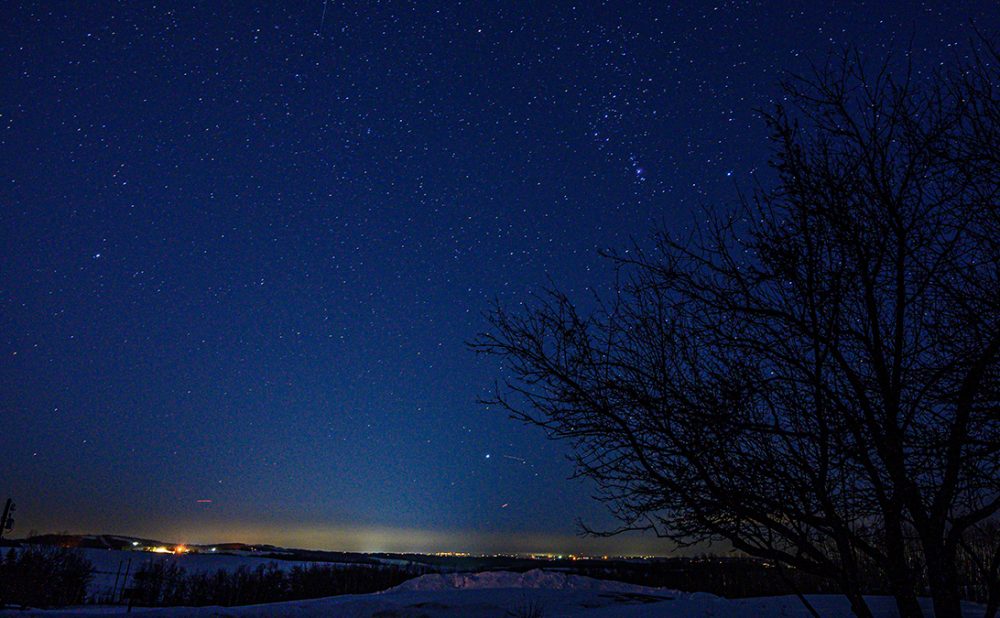 Picture of the night sky above Calgary