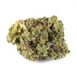 Canna Farms Pink Kush