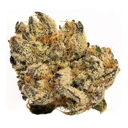 Robinsons Cannabis Purple Kush