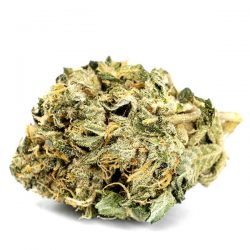Stephen Hawking Kush (SHK)