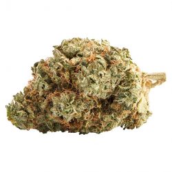 Top Leaf Northern Lights