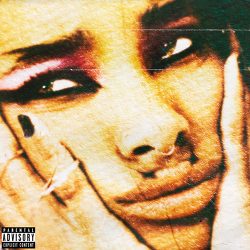 Willow's lately I feel EVERYTHING album cover.